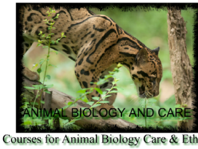 Animal Biology and Care Education